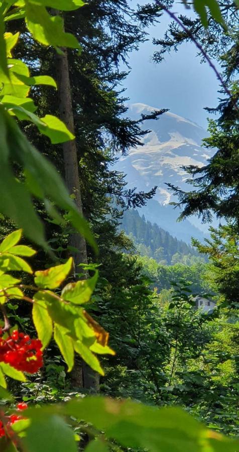 Apartament Castel De Roches Saint-Gervais-les-Bains Zewnętrze zdjęcie